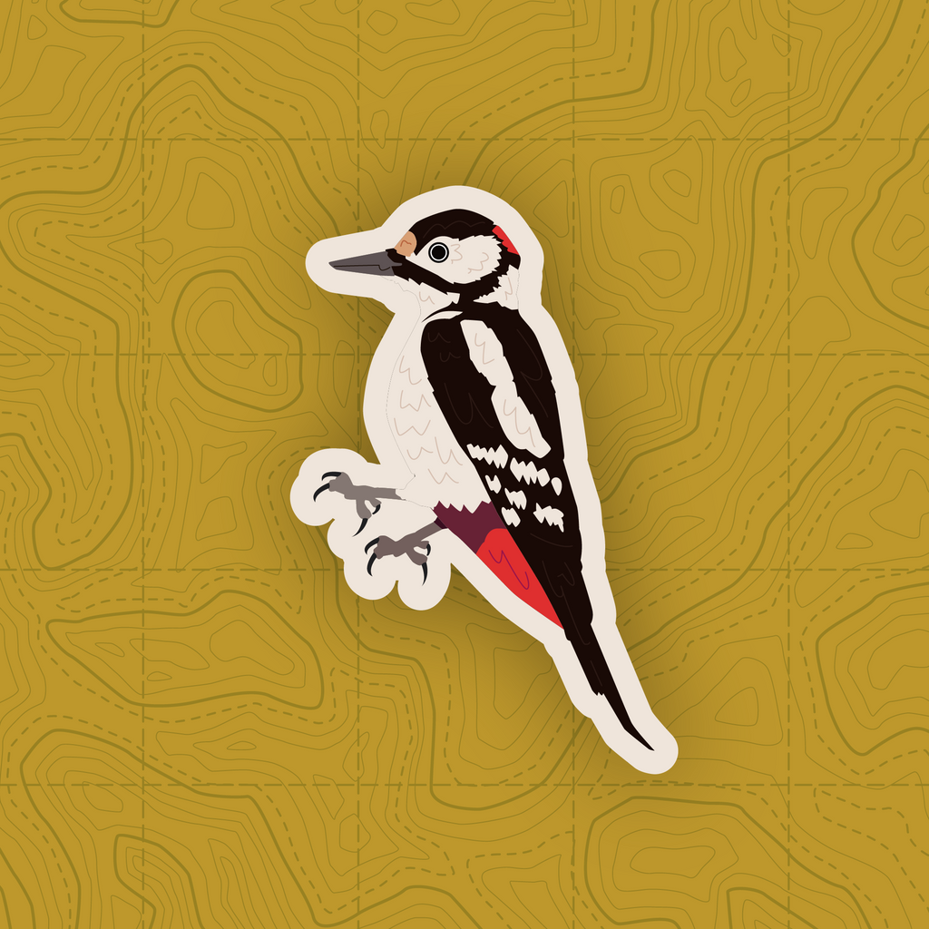 Woodpecker of Europe - Sticker Pack