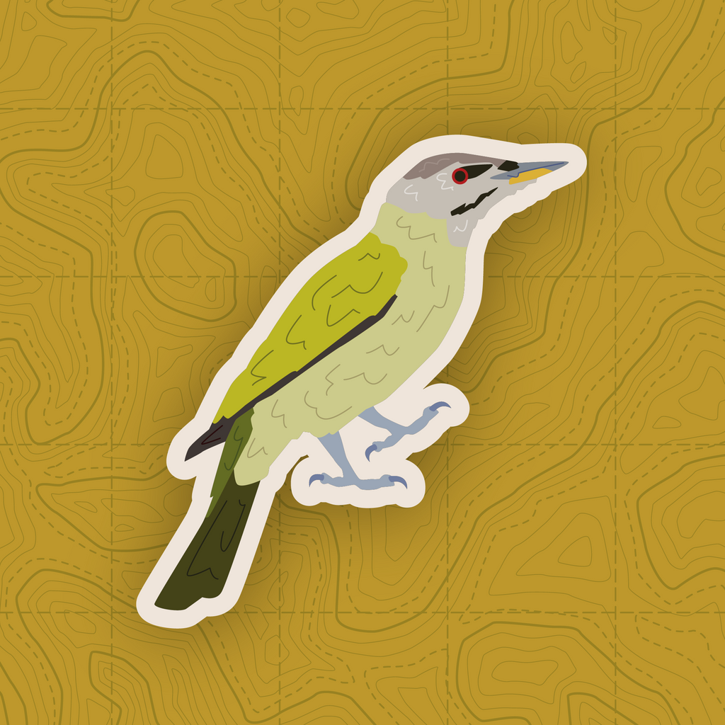 Woodpecker of Europe - Sticker Pack