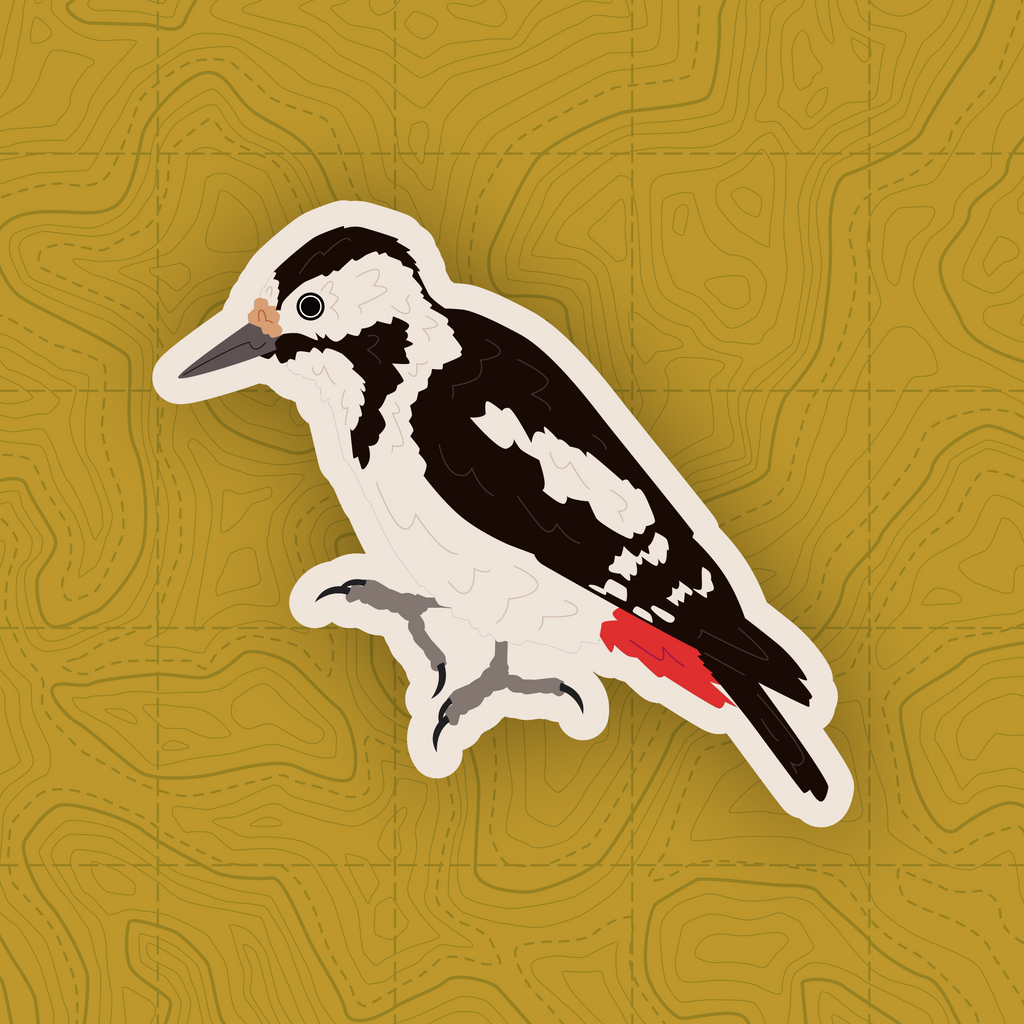 Woodpecker of Europe - Sticker Pack
