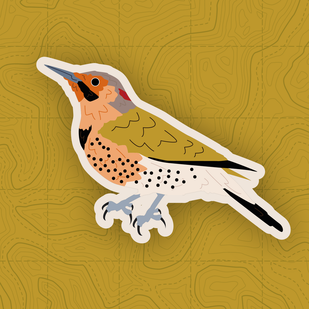 Woodpecker of Europe - Sticker Pack