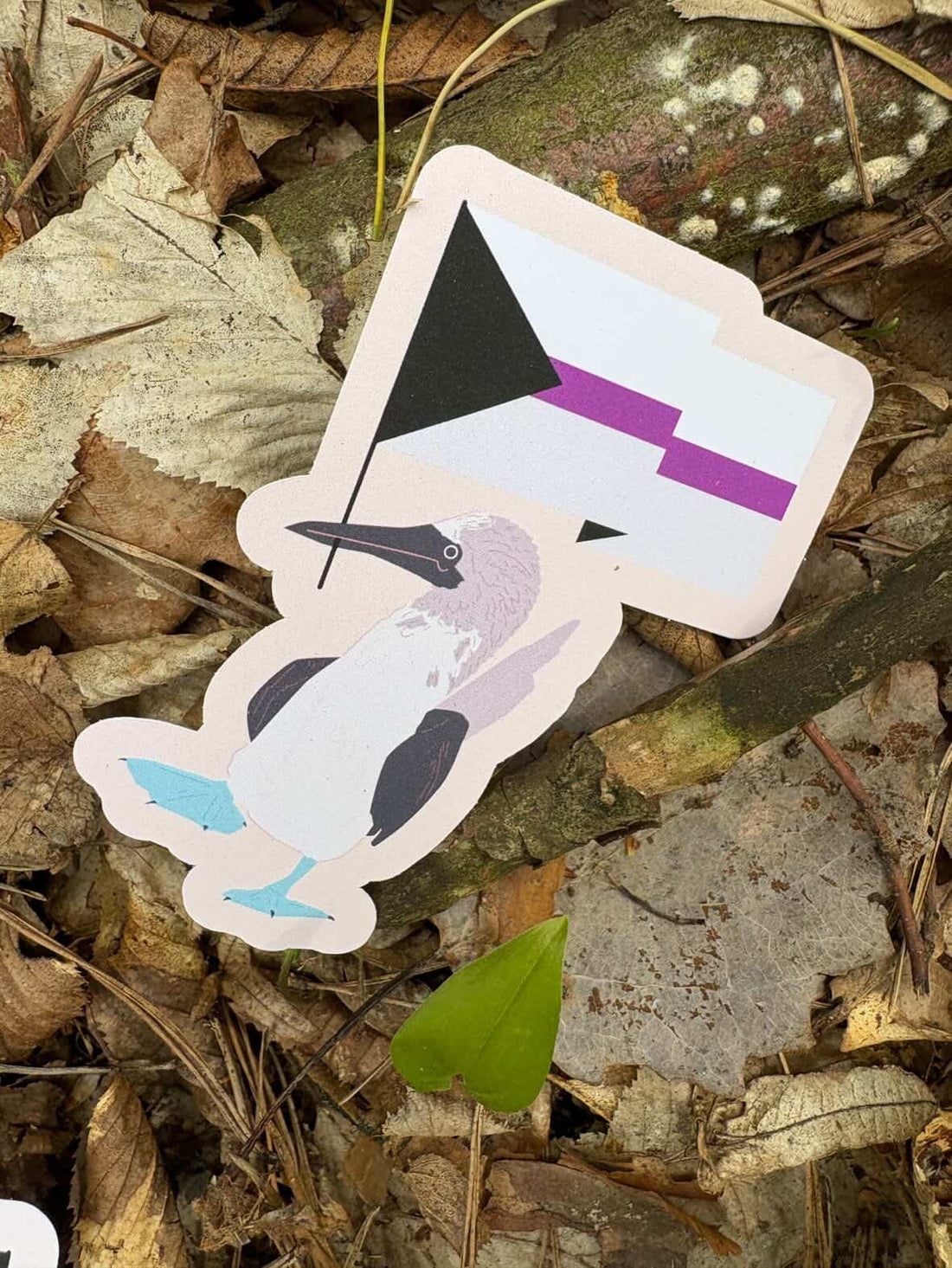 Demisexual Blue-footed Booby Sticker