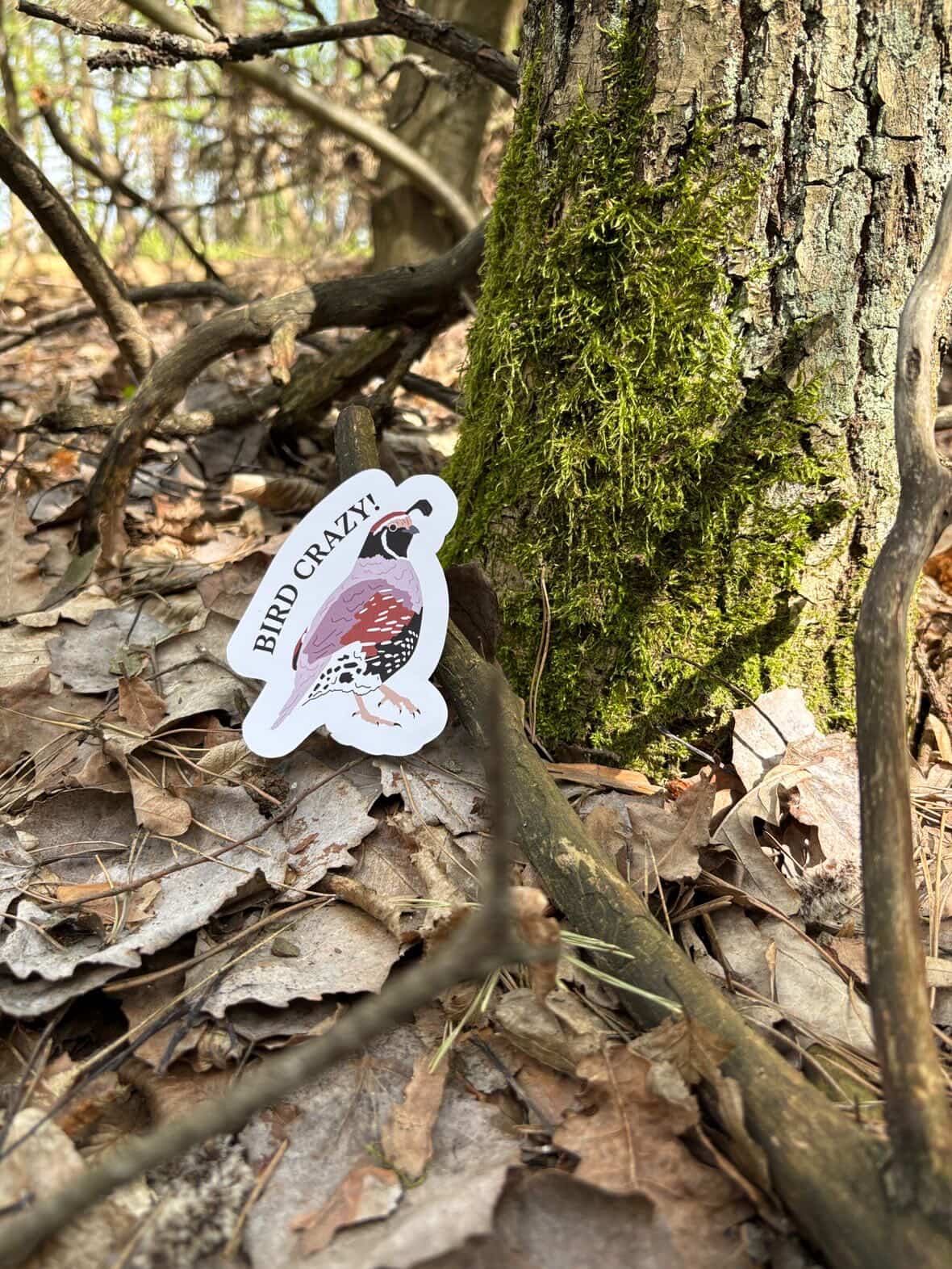 BIRD CRAZY Sticker