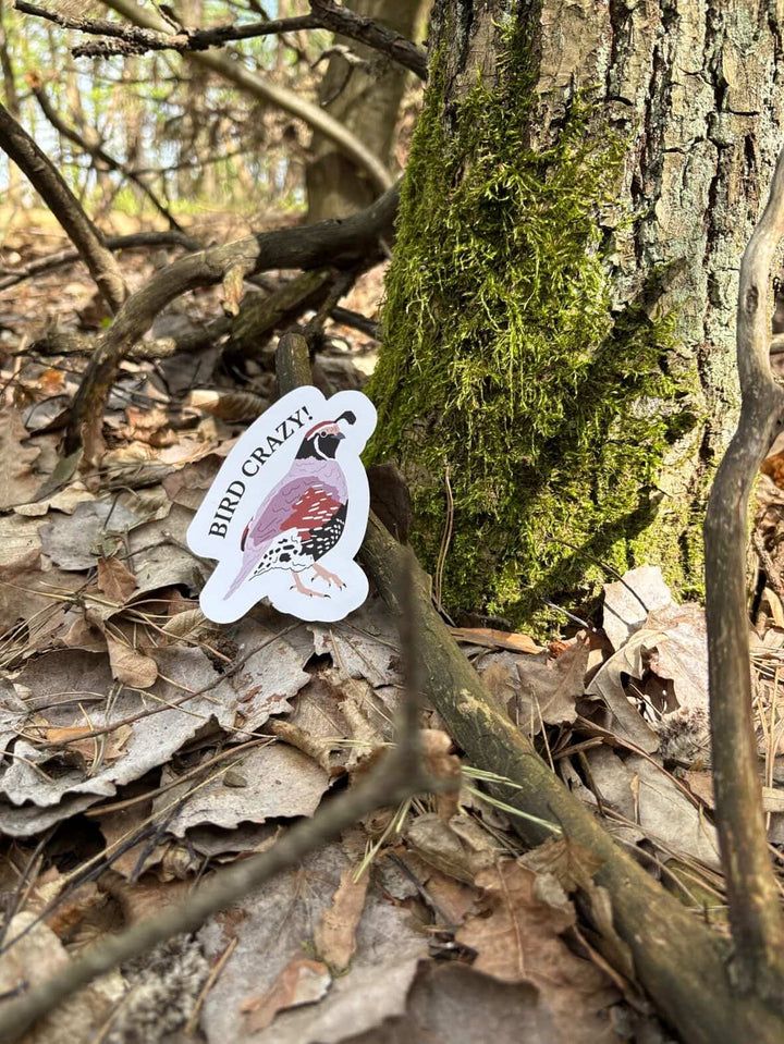 BIRD CRAZY Sticker
