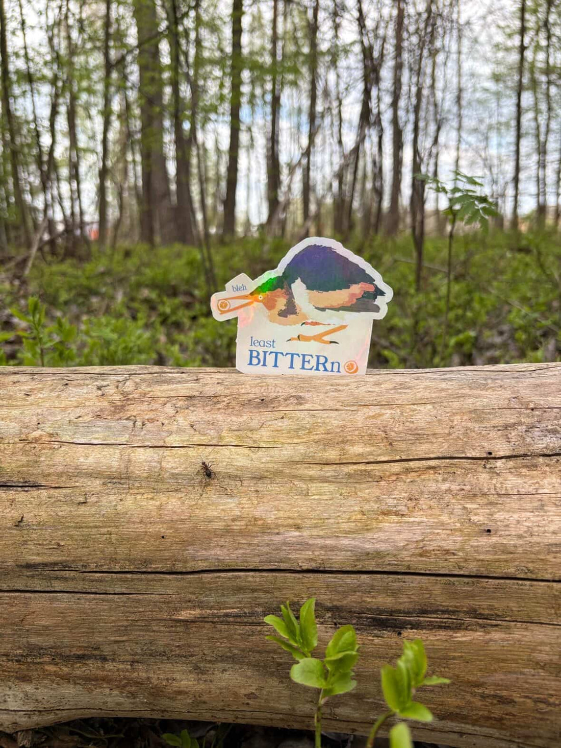 least BITTERn holographic sticker