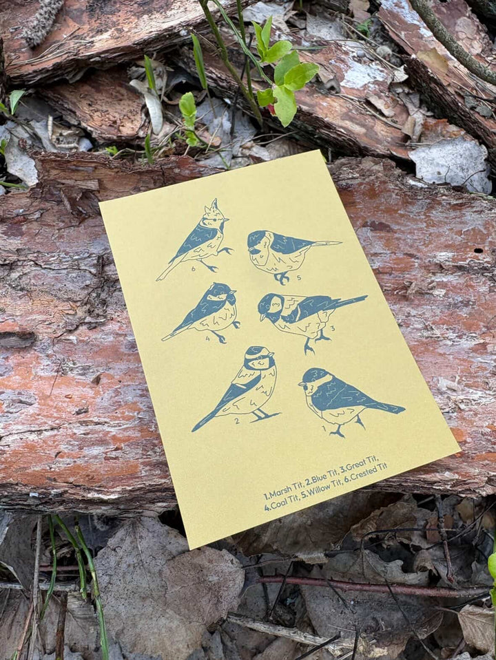 Tits Postcard