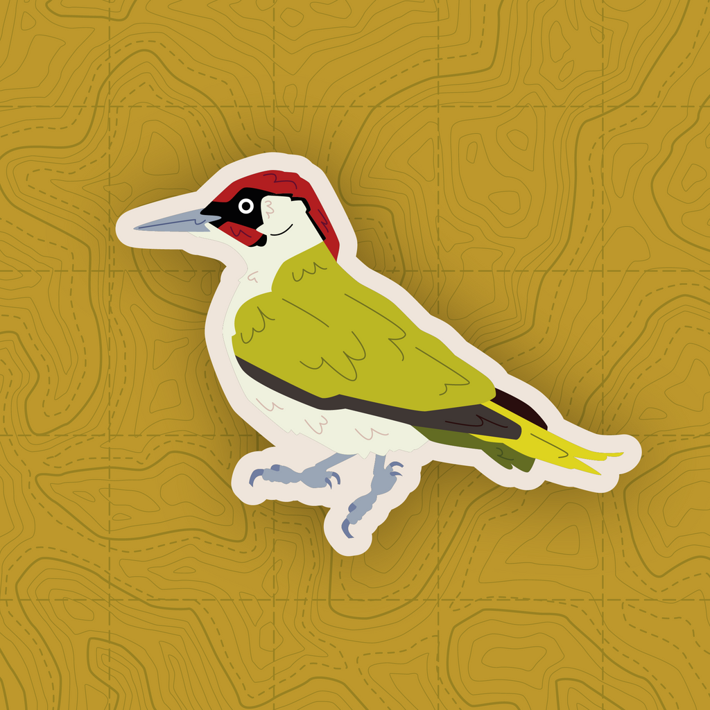 Woodpecker of Europe - Sticker Pack