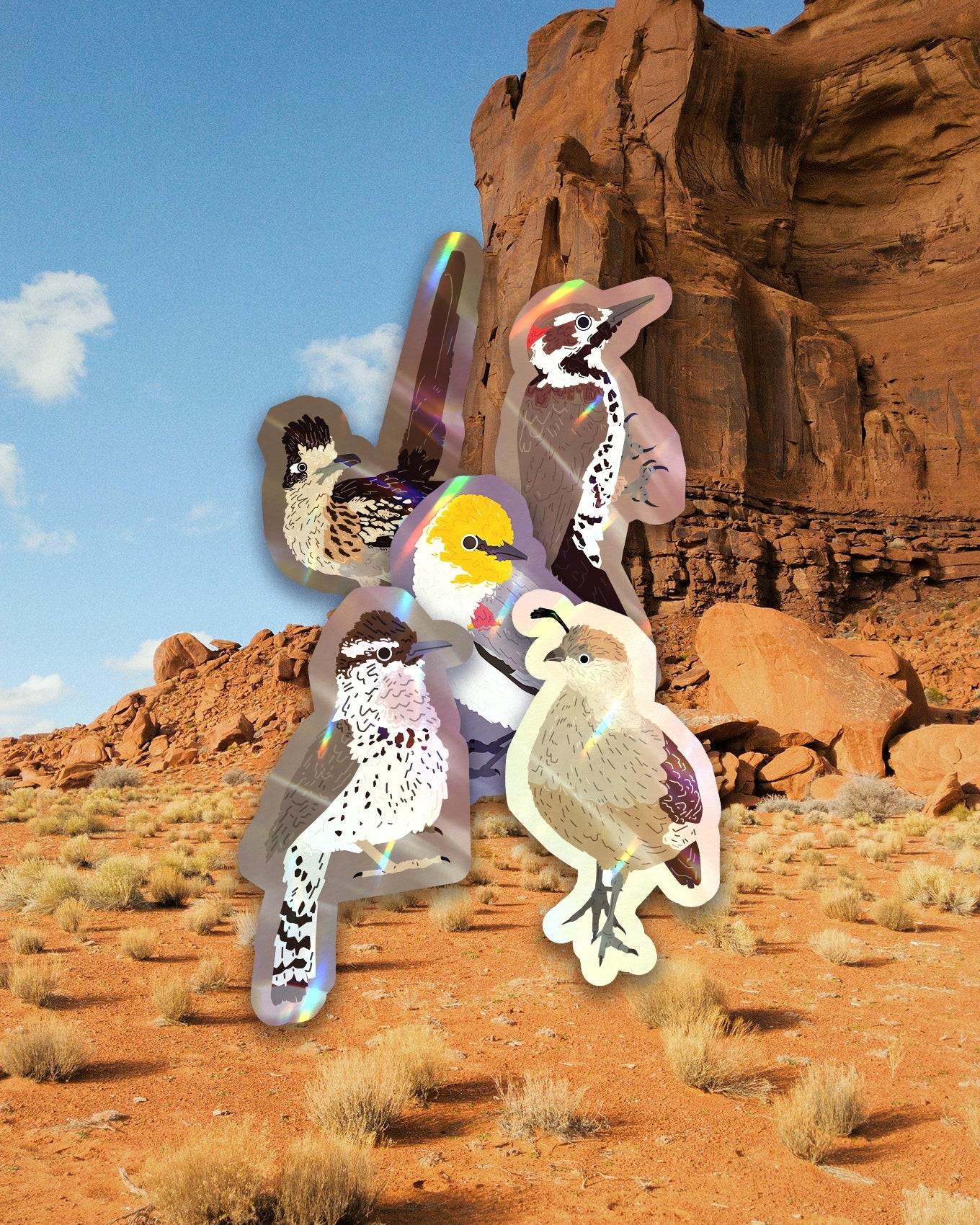 Arizona Bird Sticker Pack
