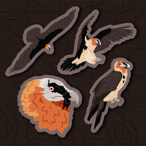 Bearded Vulture Sticker Set