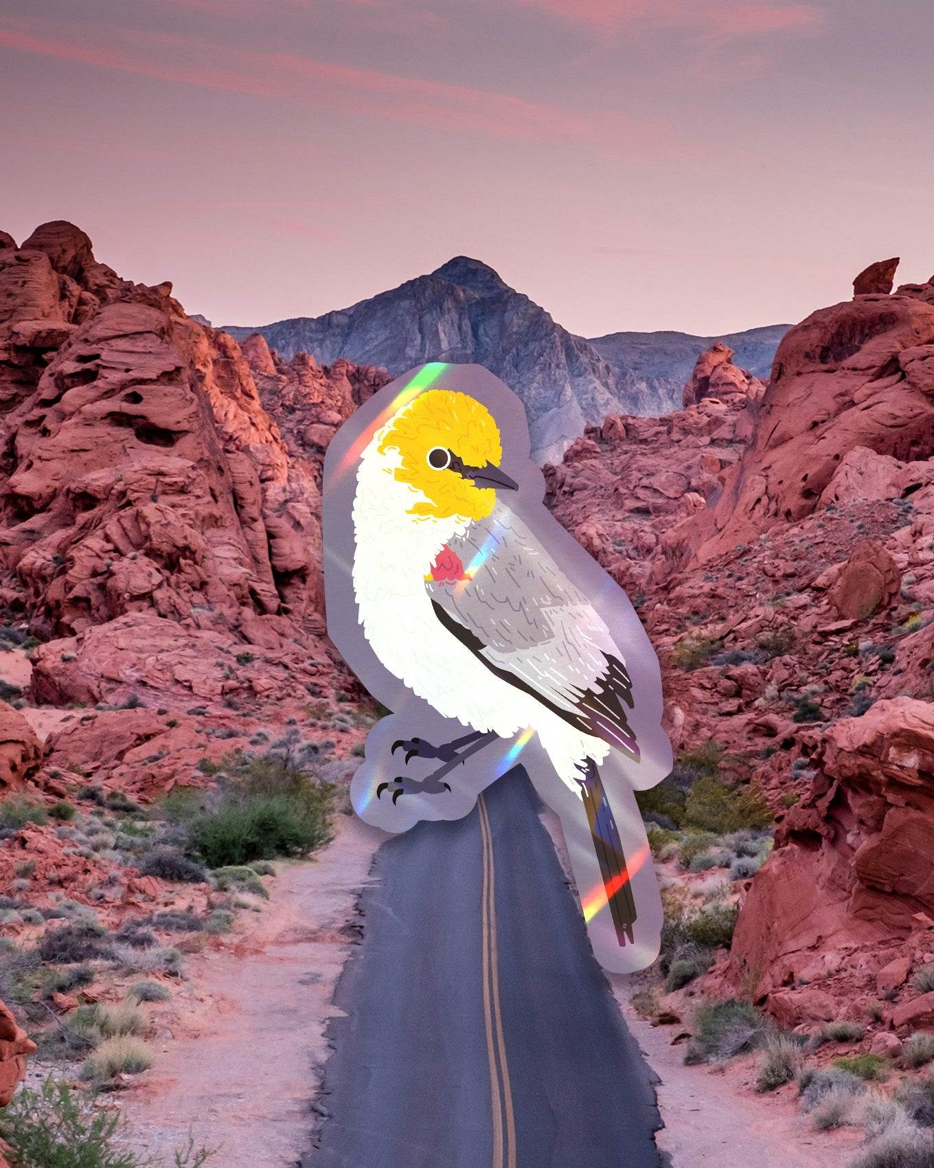 Arizona Bird Sticker Pack