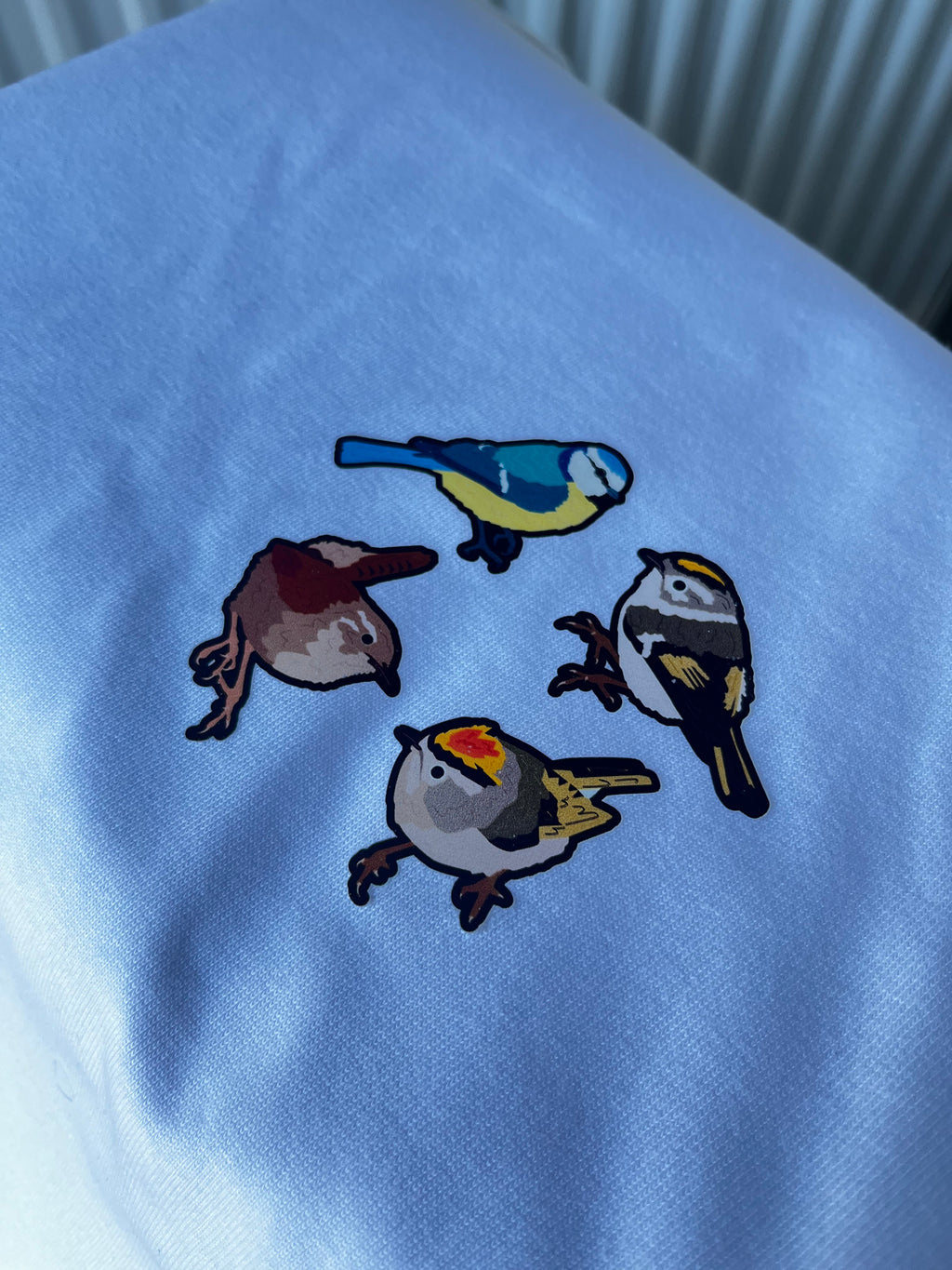Small Birbs Shirt (PREORDER)