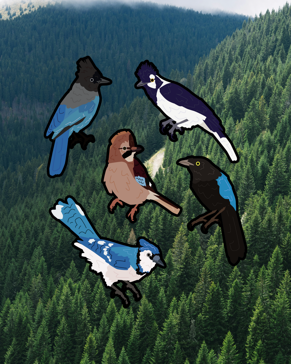 Jay Sticker Pack