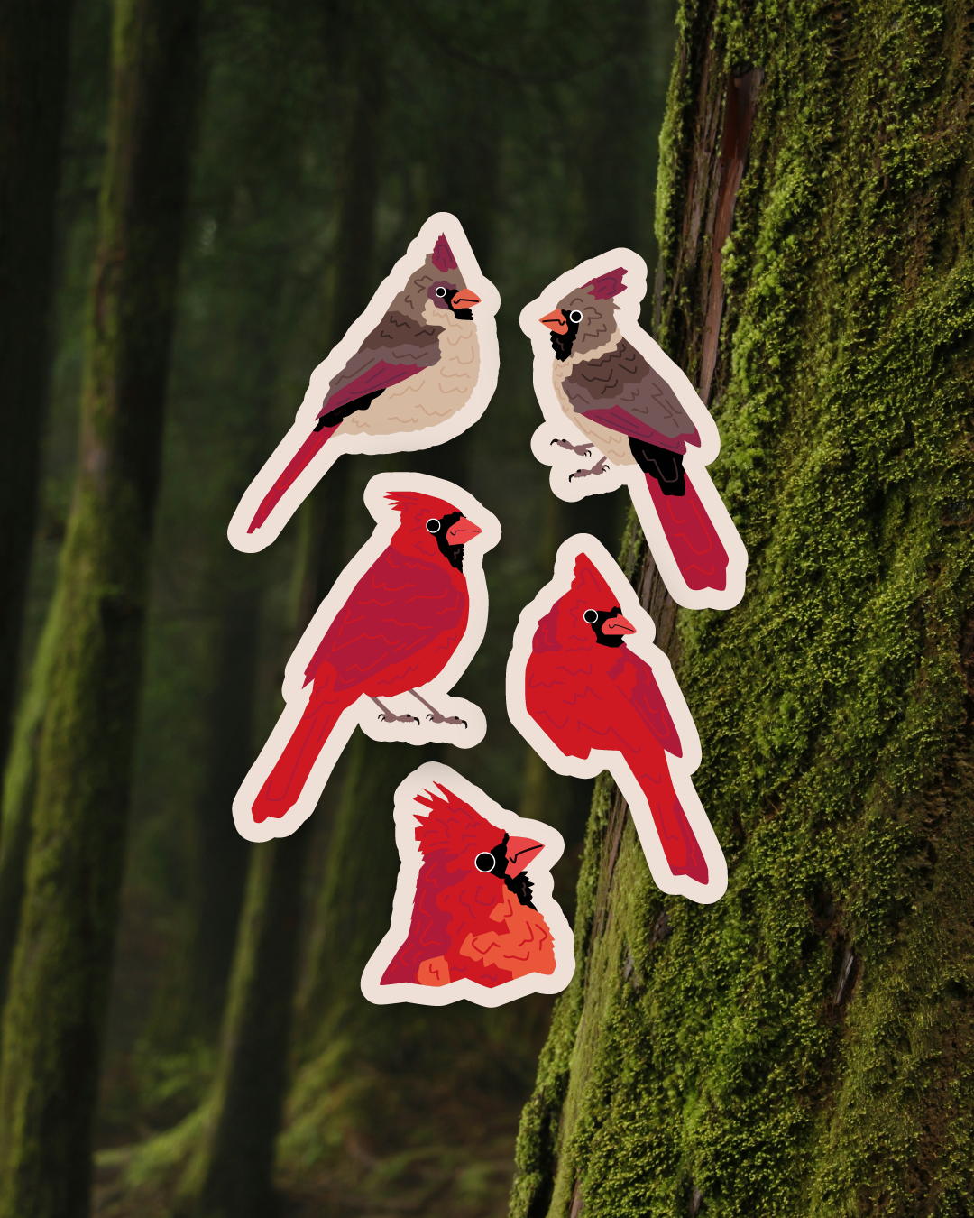 Northern Cardinal Sticker Set