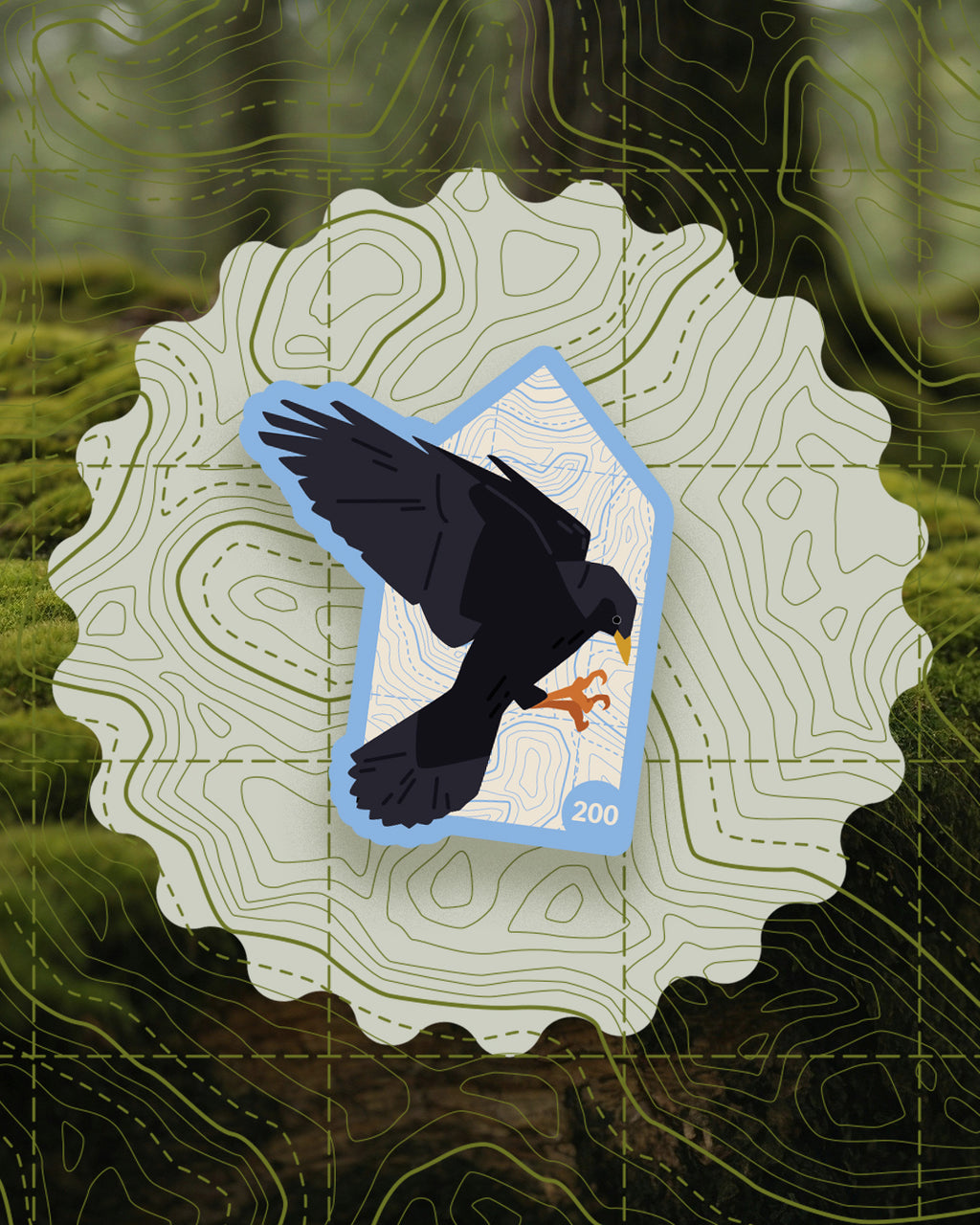 Bird Badges Series I