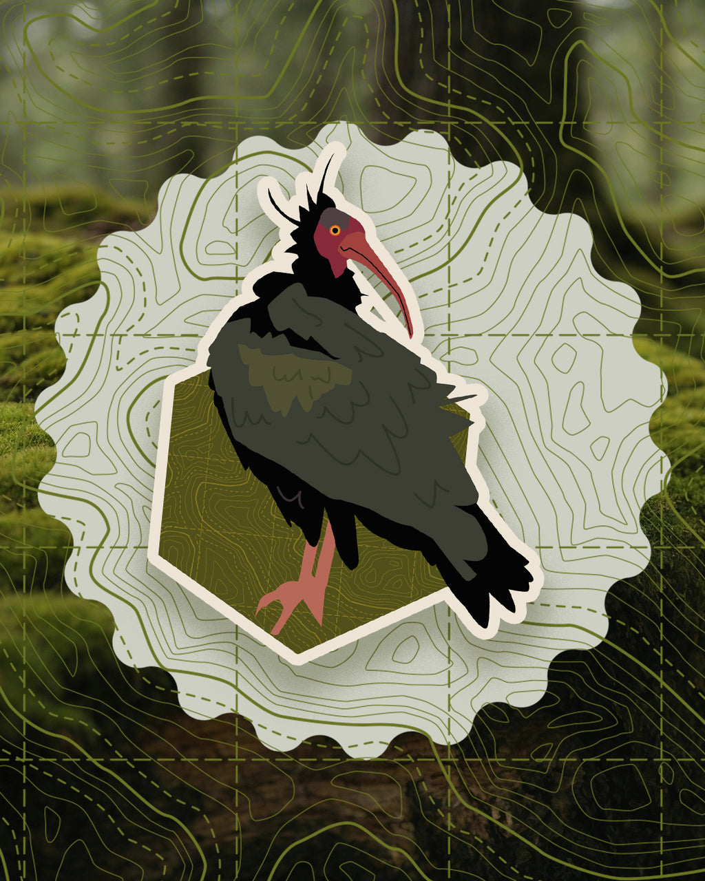 Bird Badges Series I