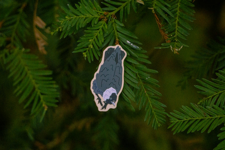 Jackdaw Wooded Pin