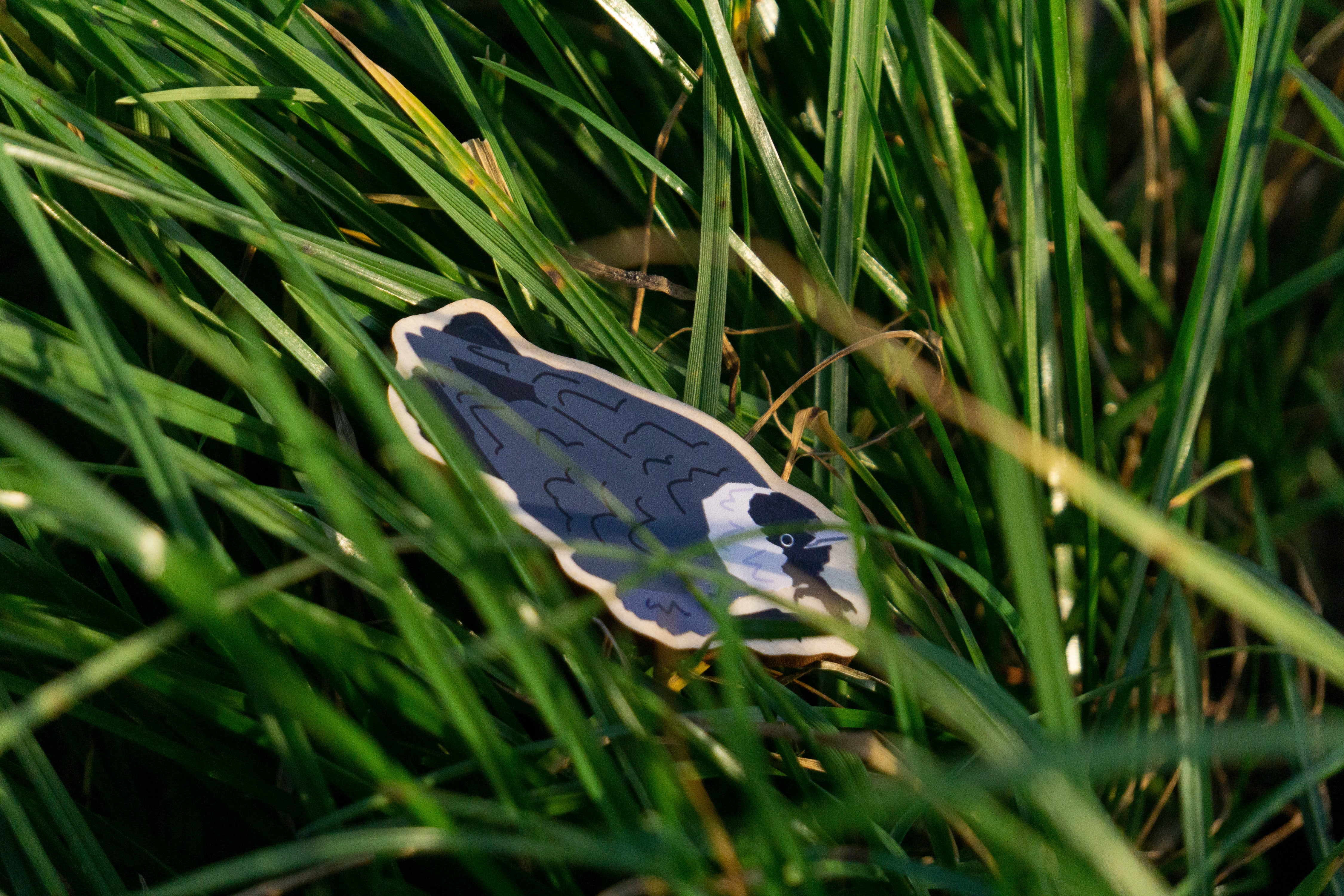 Jackdaw Wooded Pin