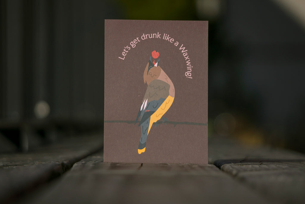 Let's get drunk - Postcard (+free Sticker)