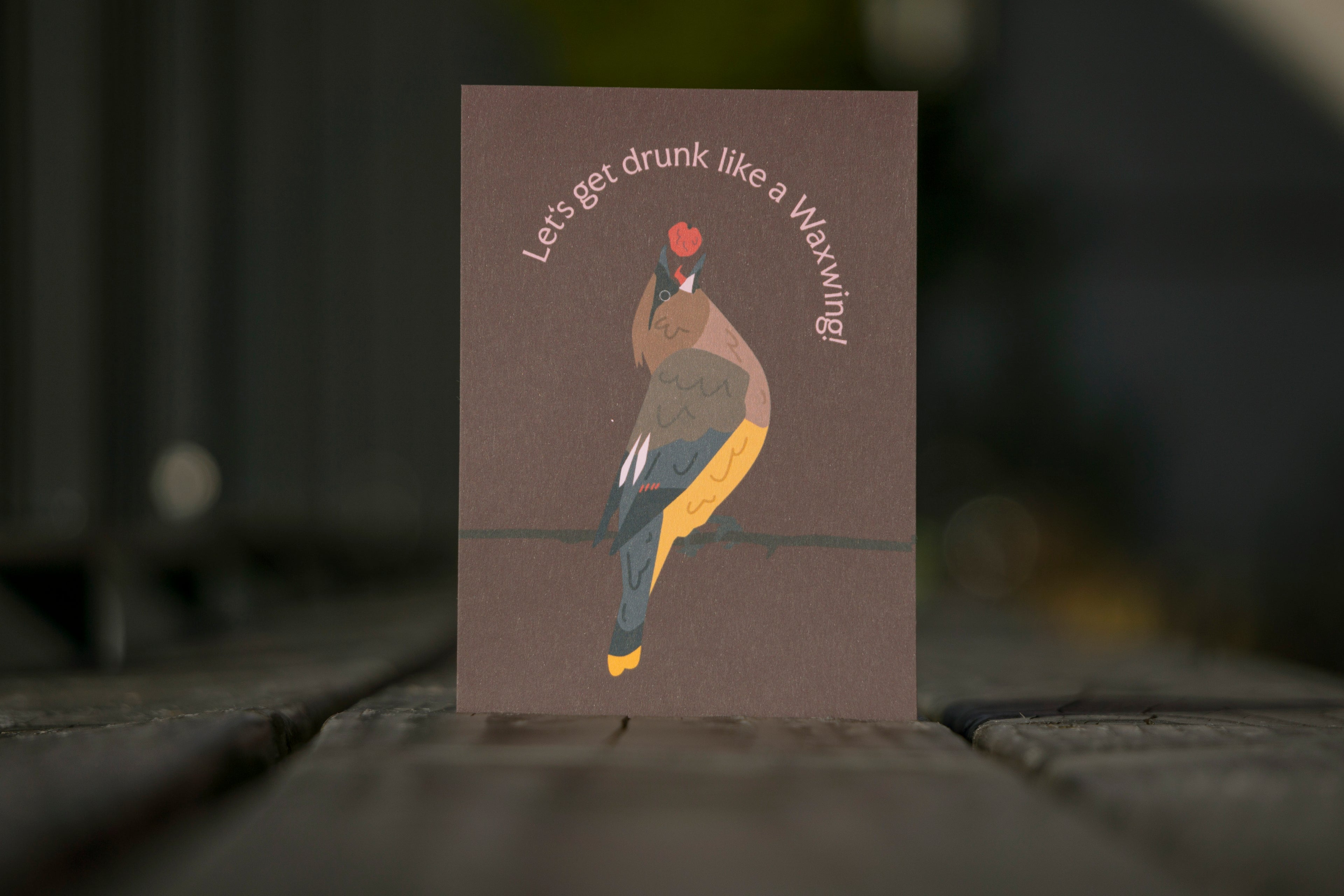 Let's get drunk - Postcard (+free Sticker)