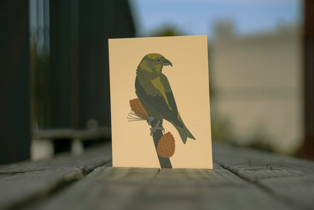 Crossbill Postcard