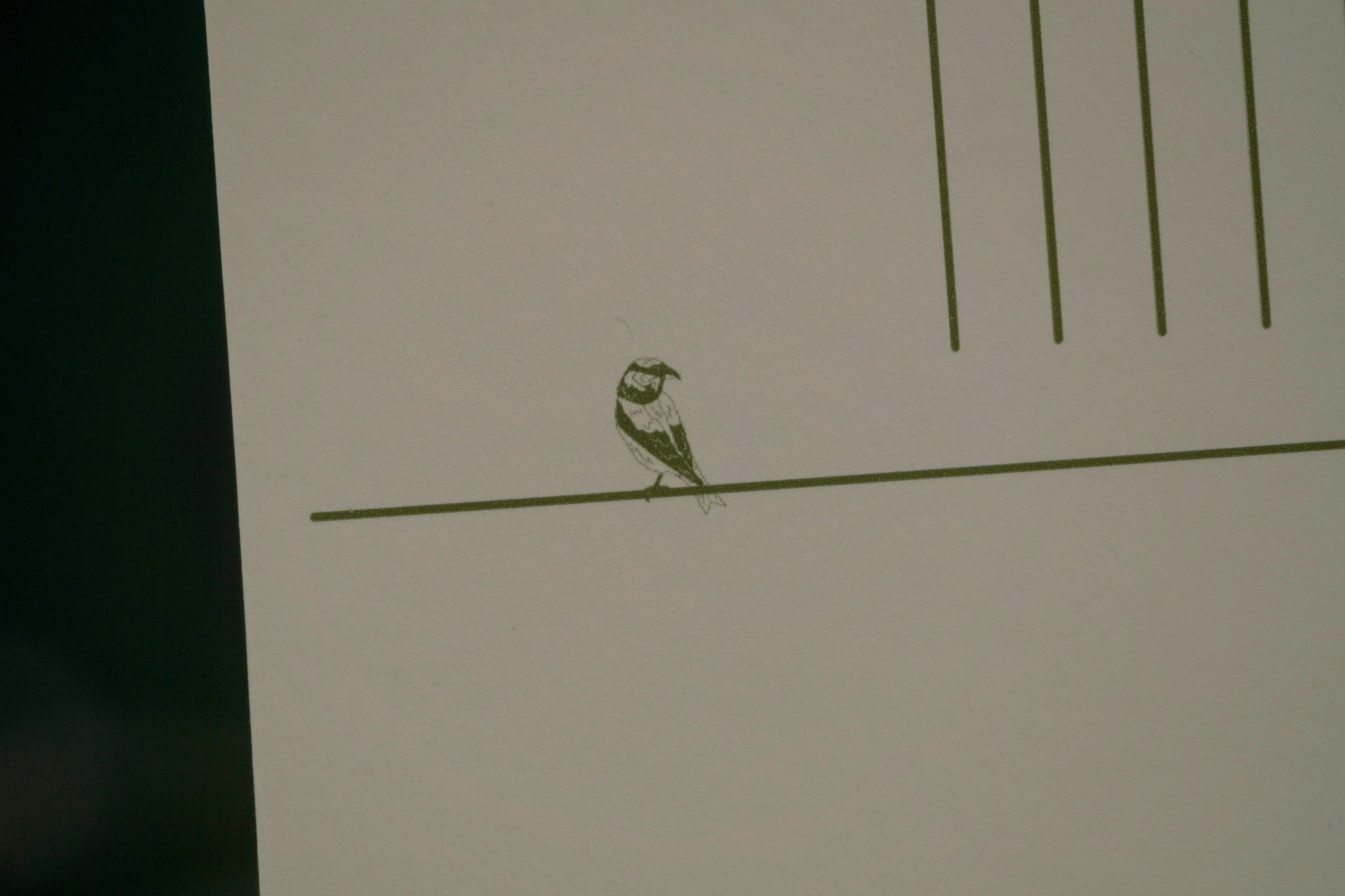 Crossbill Postcard