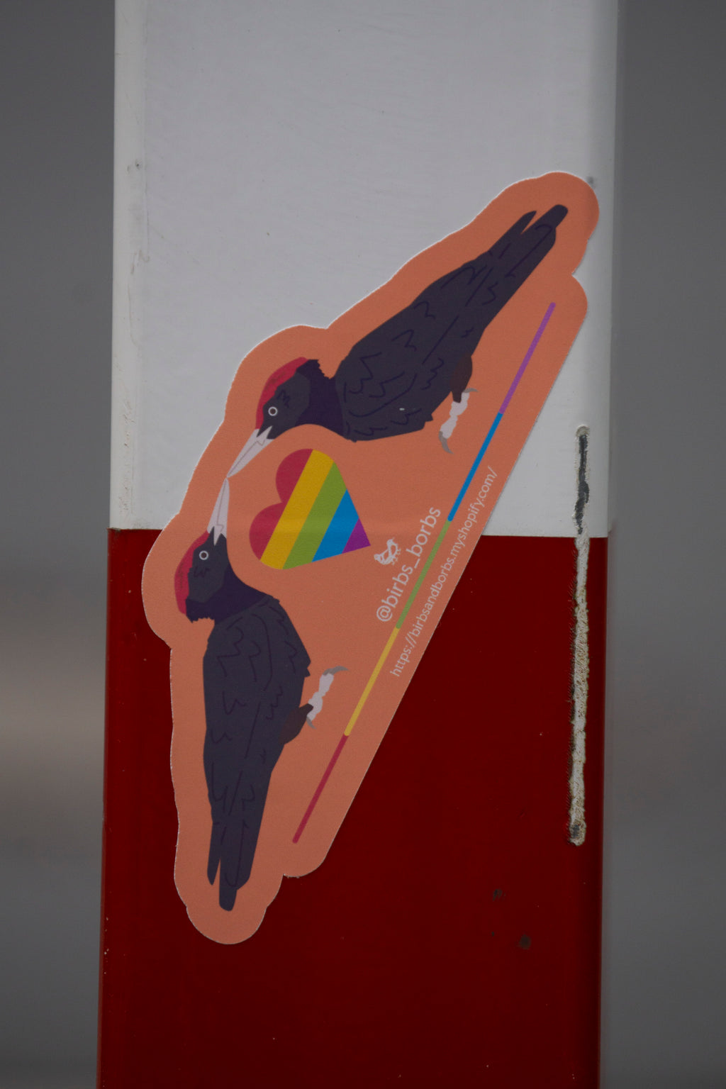 Gay Black Woodpecker Sticker