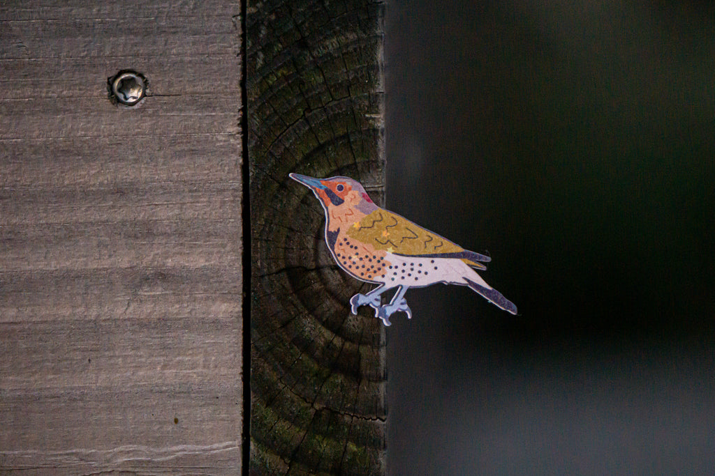 Woodpecker of Europe Sticker sheet