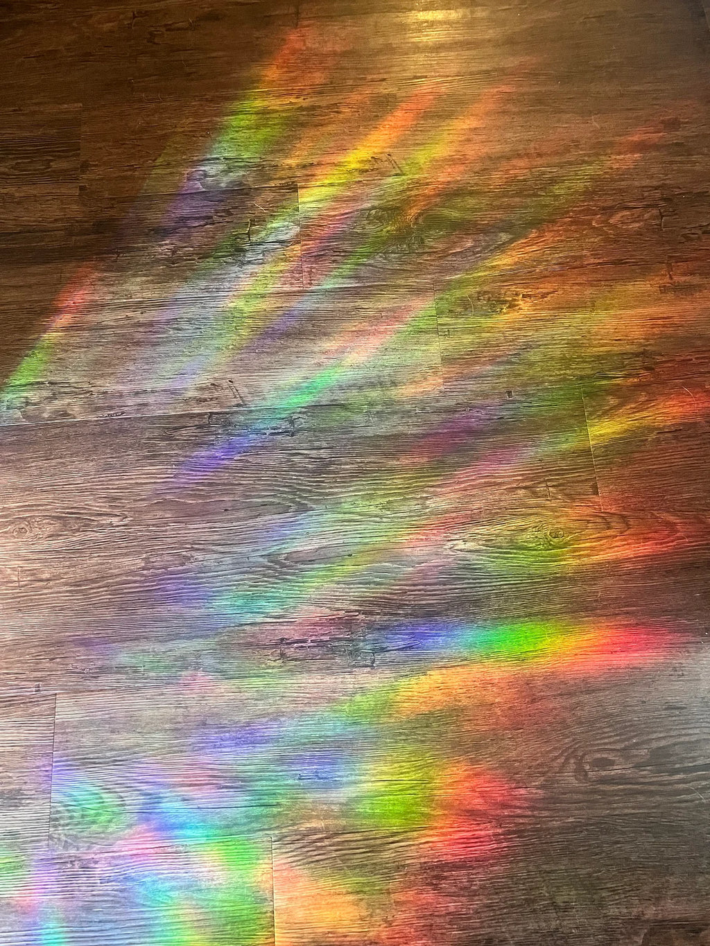 Yellowhammer adhesive Suncatcher