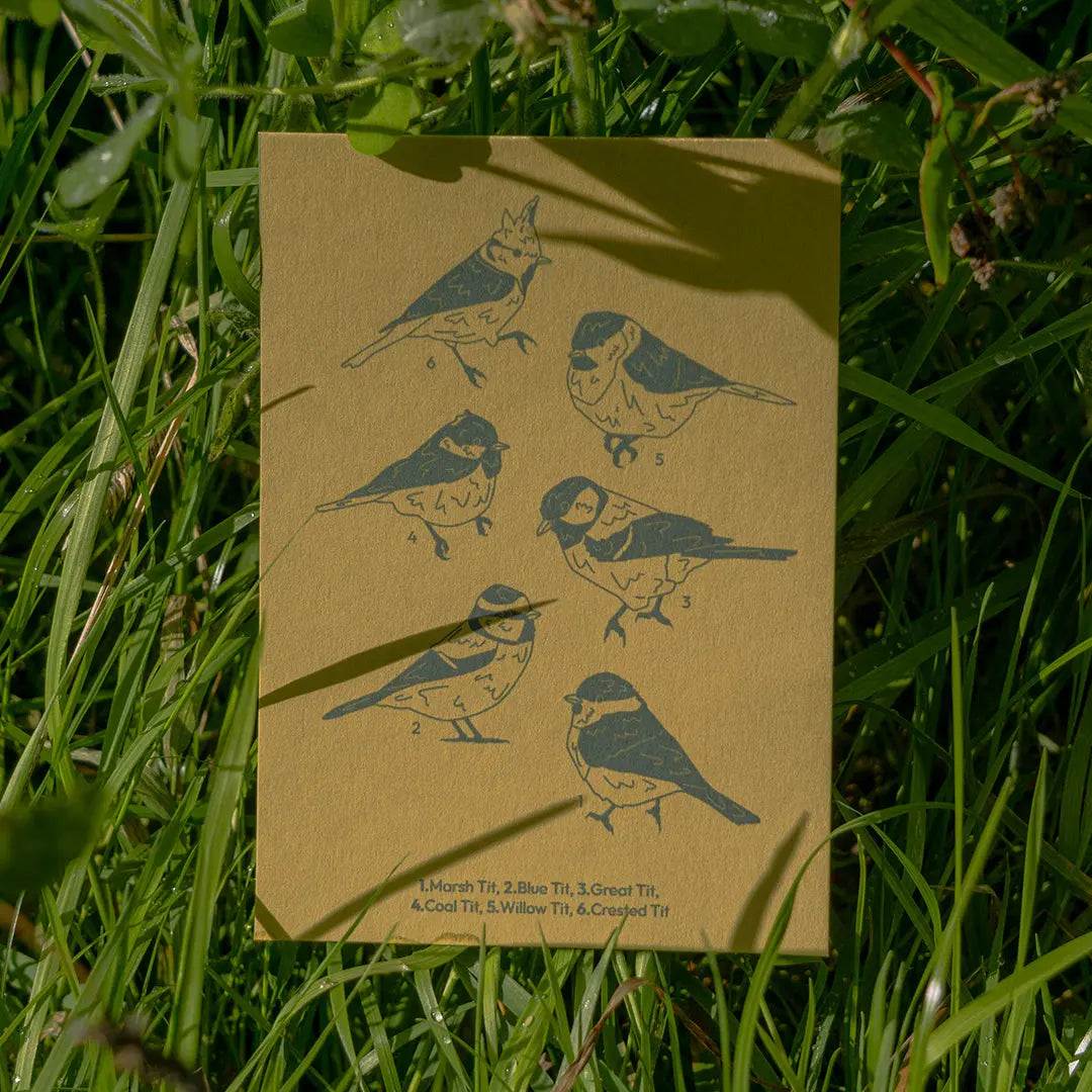 Tits Postcard