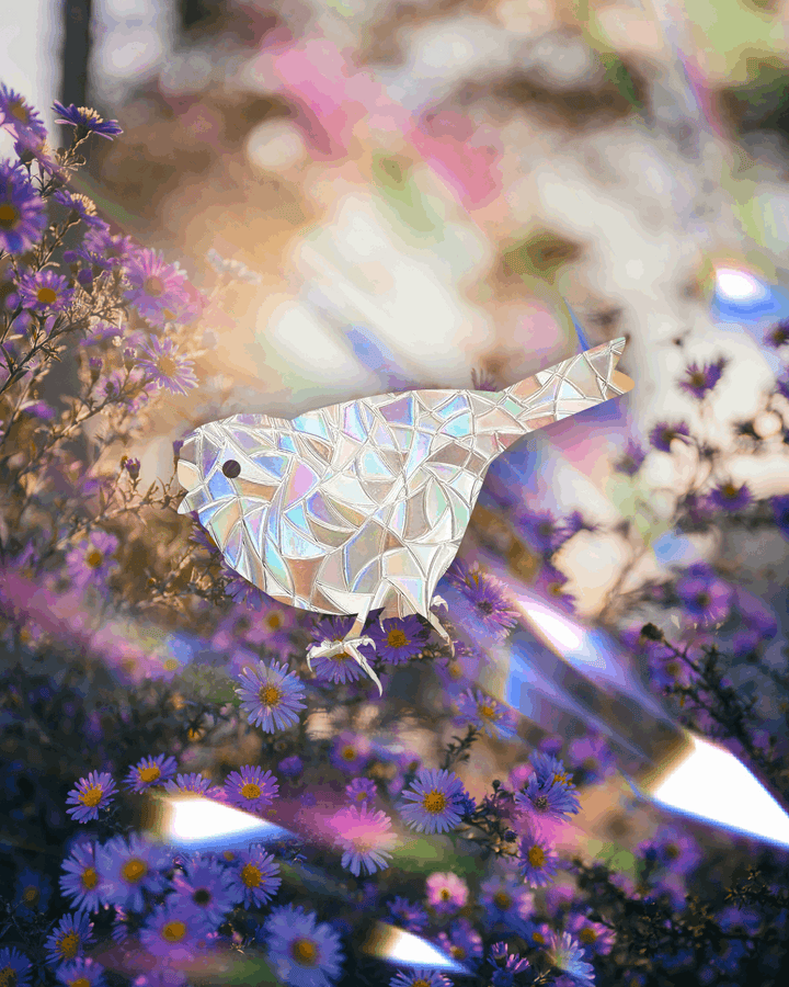 Mohua adhesive Suncatcher