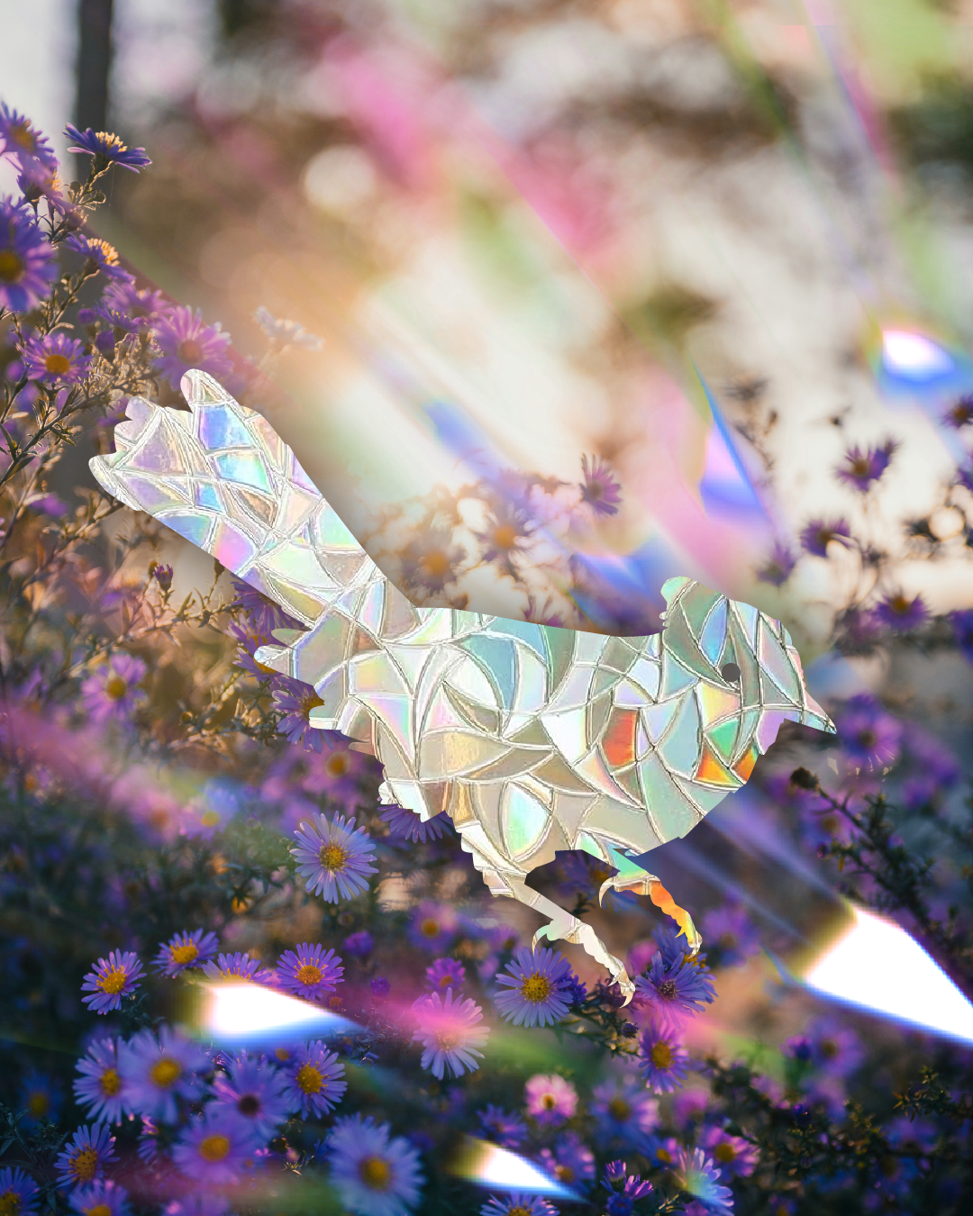 Bluejay adhesive Suncatcher