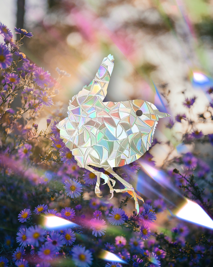 Wren adhesive Suncatcher