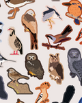 Birbs&Borbs illustrations