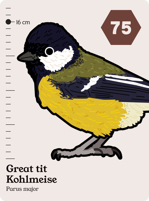 135