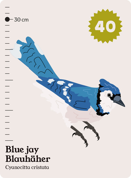 49