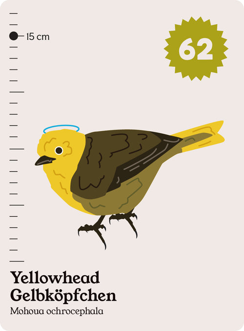 74