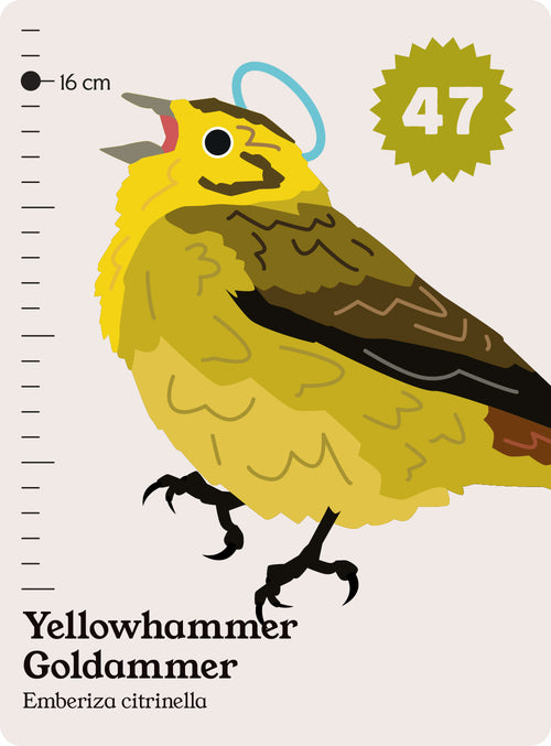 59