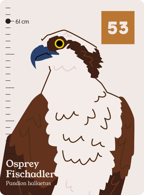 91
